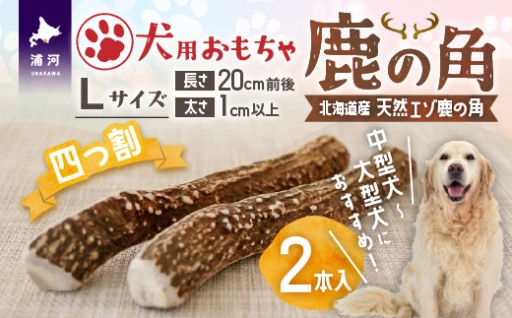 【愛犬のデンタルケアに✨】