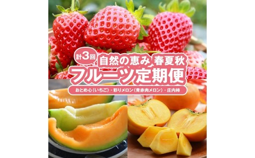 🍓🍈春夏秋のフルーツが楽しめる定期便⭐😋🎵✨