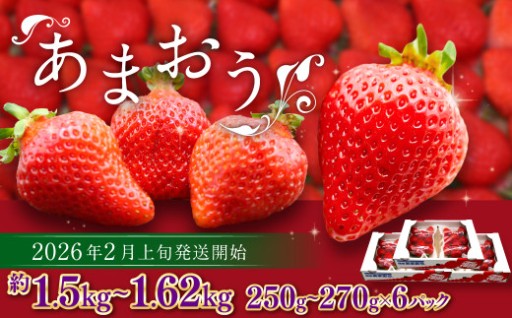 博多あまおう（春） 約250g～270g×6パック 計約1.5kg～1.62kg