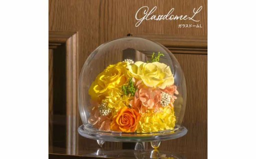 🌻ガラスドームL 花 お花 プリザーブドフラワー🌻