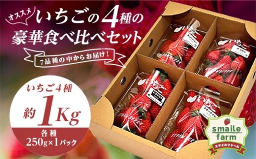 【スマイルファーム】 オススメいちごの4種の豪華 食べ比べ セット 約1kg FAF-0037