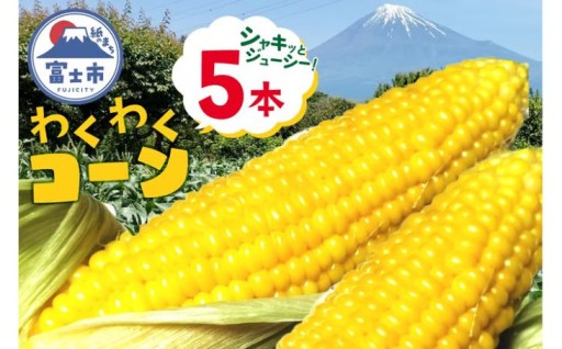 トウモロコシ わくわくコーン 5本【6月中旬～7月中旬頃に順次発送】 [sf001-341]