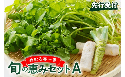 【北海道芽室町】4月下旬より発送　めむろ春一番🌸旬の恵みセット🌿