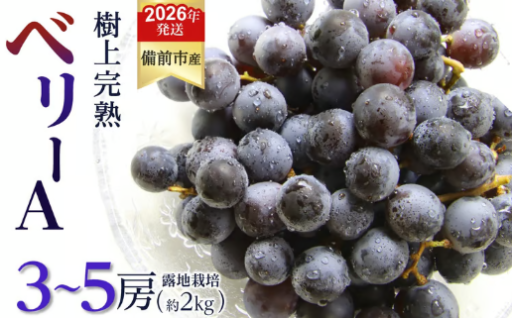 びぜん葡萄「ベリーＡ」（露地栽培）約2kg🍇