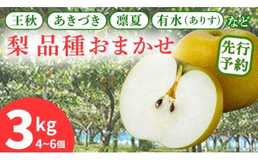 農家直送！旬の梨を、品種おまかせでお届け