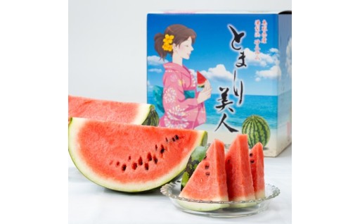 太陽の光をいっぱいに浴びた「とまり美人西瓜」