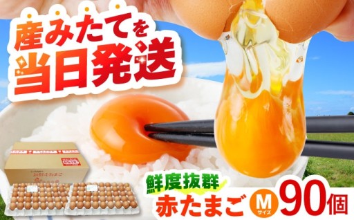 【朝採れ直送】小峰鶏園 赤たまご Mサイズ 90個 - 産みたての美味しさを体験！