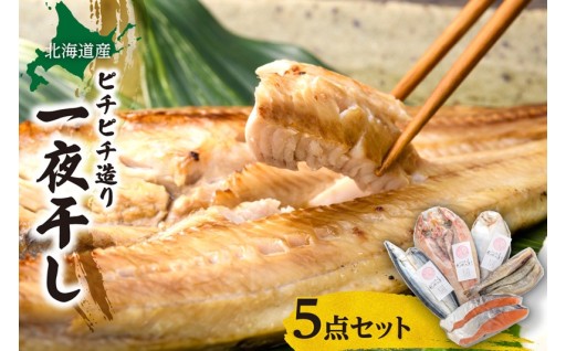 【北海道札幌市】北海道産 ピチピチ造り一夜干し 5点セット🐟🐡🎣