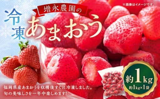 増永農園のあまおう冷凍いちご 約1kg