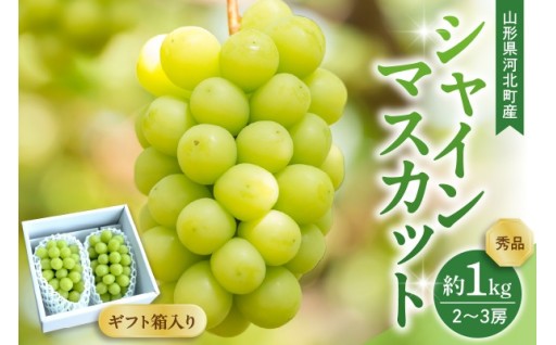 🍇シャインマスカット 2～3房🍇