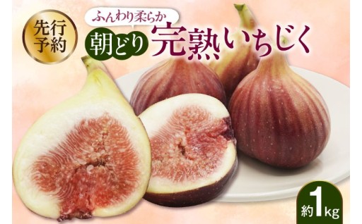 【先行予約】🌟ふんわり柔らか朝どり完熟いちじく🌟