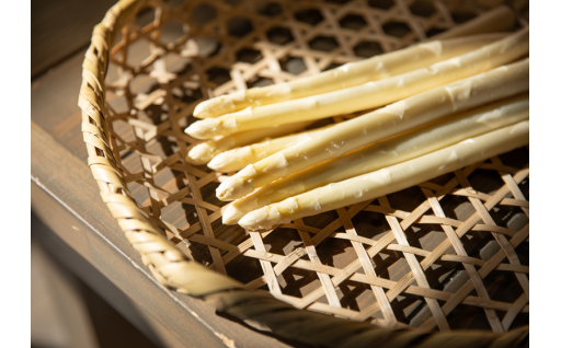 令和8年　北海道中川町産アスパラ受付開始！！！