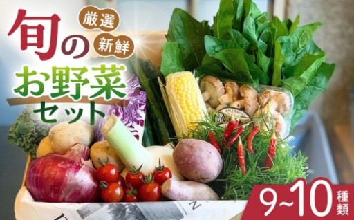 野菜セット 旬の野菜 （9~10種類) 