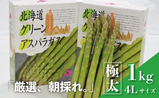 【4/10〆切】おがファームの極太アスパラ