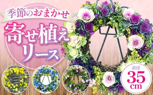 季節のお花の寄せ植えリース35センチ