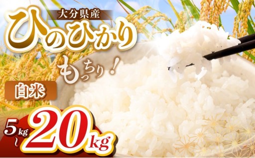 人気急上昇!! 在庫限り 白米 令和7年産 大分県産 ヒノヒカリ 選べる内容量 5 ～ 20kg