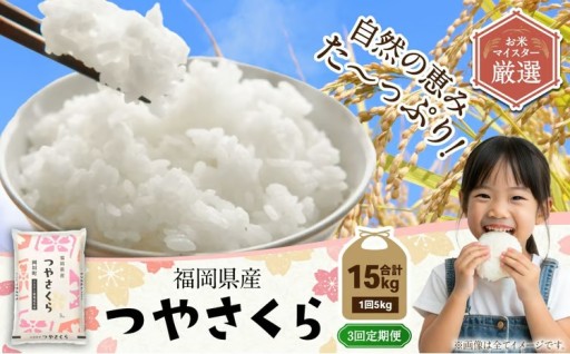 【3ヶ月定期便】福岡県産つやさくら 5kg