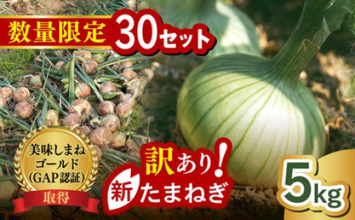【先行予約/数量限定】甘みが弾ける！松江市産「春おとずれ新たまねぎ」5kg🧅
