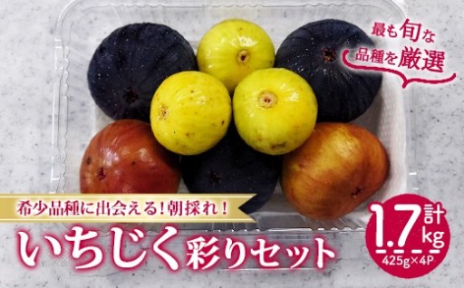 ＜2026年8月下旬以降順次発送予定＞様々な品種のいちじく詰め合わせセット(約425g×4P・約1.7kg)