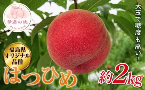 【6/10受付終了】福島県産 はつひめ 約2kg