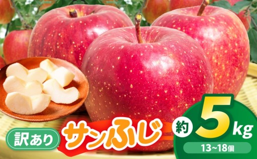 伊那市田原産 リンゴ サンふじ 訳あり 約5kg