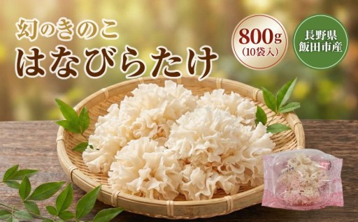 信州飯田産「幻のキノコ」生はなびらたけ