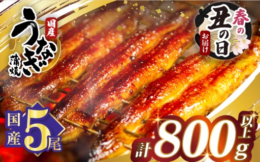 【宮崎県都農町】✨春の丑の日までにお届け✨うなぎ蒲焼5尾🎁