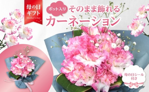 【母の日】💐カーネーションとかすみ草のブーケ💐