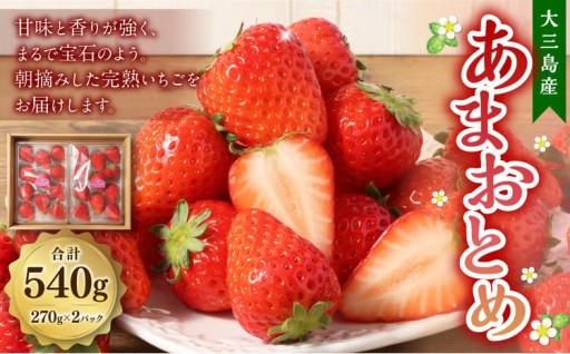 大三島産 「 あまおとめ 」 約270g×2パック