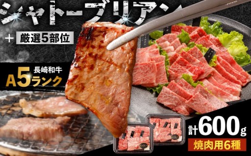 〈シャトーブリアン入り〉希少部位 焼肉 6種食べ比べセット 600g