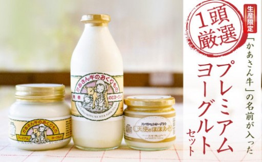 【限定生産】「かあさん牛」の名前が入った「1頭厳選」プレミアムヨーグルトセット