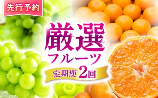 贅沢なフルーツ体験！シャインマスカットと温州みかんの定期便