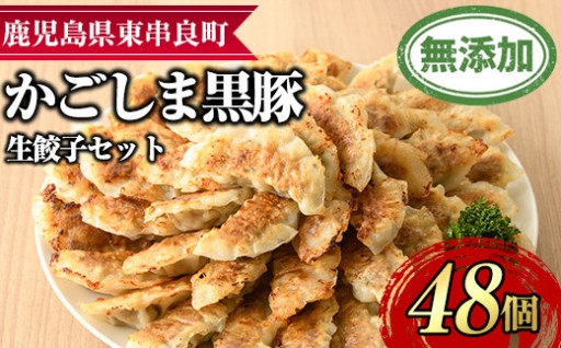 鹿児島黒豚生餃子セット(12個入×4パック・計48個)