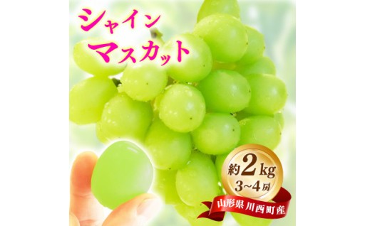 ＜先行予約＞令和8年産 シャインマスカット 約2kg(3房～4房)【1721854】