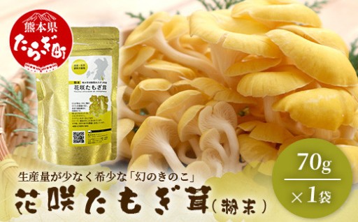 幻のきのこ【花咲 たもぎ茸】(粉末) 70g 熊本県産 無農薬栽培
