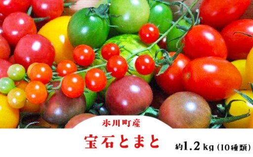 まるで食べるジュエリー✨ 驚きの甘さと輝き「氷川町産 宝石とまと」