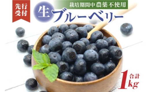 栽培期間中農薬・有機肥料で丹精込めて栽培した「ブルーベリー🫐」1kg 国産