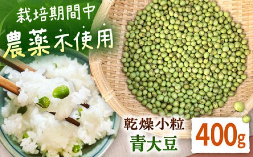 ご飯が甘くなる！農薬不使用の青大豆「黒神」