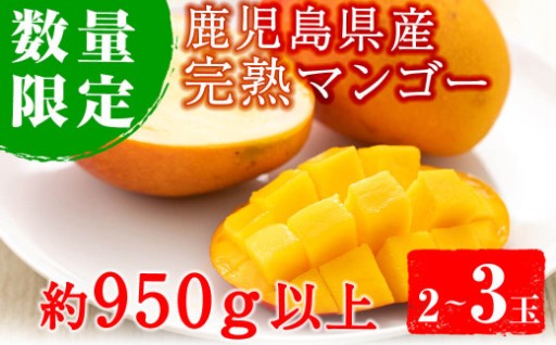 ＜先行予約受付中！2026年5月中旬から発送＞《数量限定》完熟マンゴー2玉入り及び3玉入り(約950g以上)