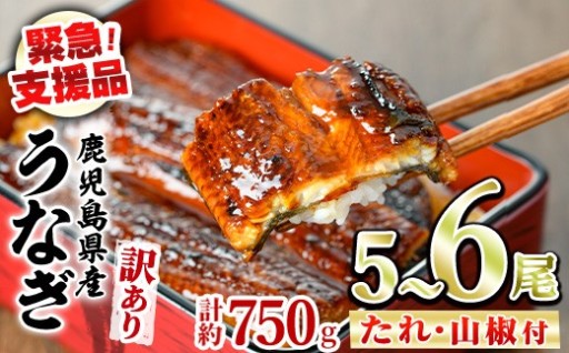 【緊急支援品】＜訳あり＞鰻の蒲焼き(無頭)(5～6尾・計約750g・タレ、山椒付)