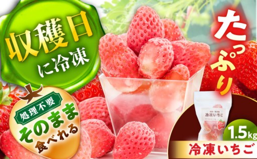 恵那山麓の＼完熟／冷凍いちご 1.5kg