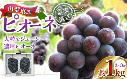 山梨県産ピオーネ 約1kg
