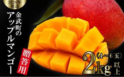 【2026年発送】金武町のアップルマンゴー◆贈答用◆2kg以上（4～6玉） 