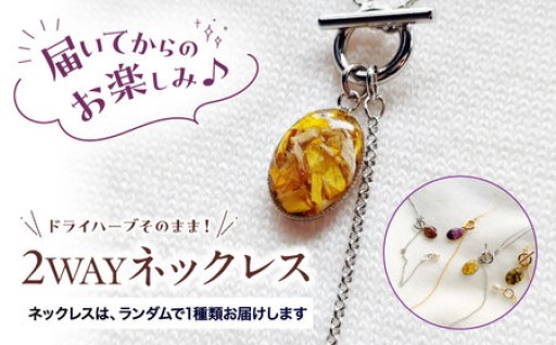 ＼自然を纏い、心を整える／ハーブ纏うアクセサリー