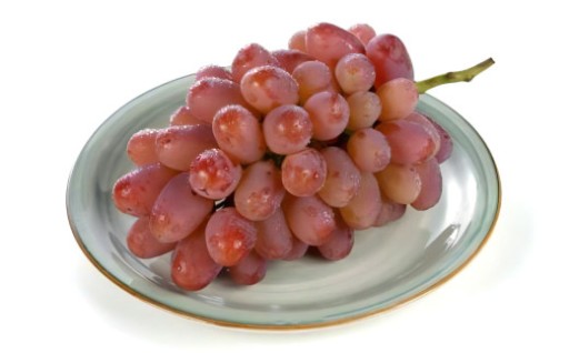 紫苑 2kg  【2026年10月上旬-11月下旬発送予定】