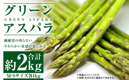 グリーンアスパラ M・Sセット  合計約2kg