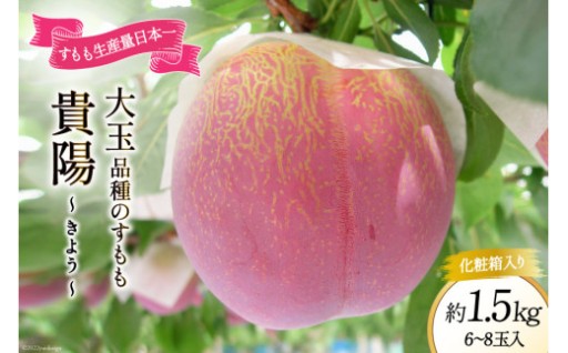 すもも 貴陽 約1.5kg 化粧箱入 6-8玉