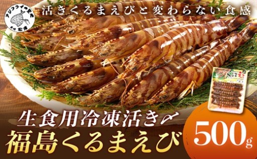 秘境福島産くるまえび🦐