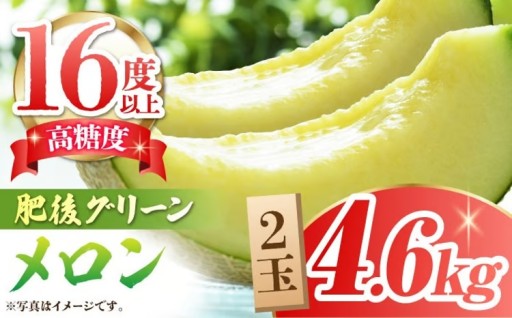 【先行予約】 肥後グリーンメロン 糖度16度以上 2玉 計約4.6kg