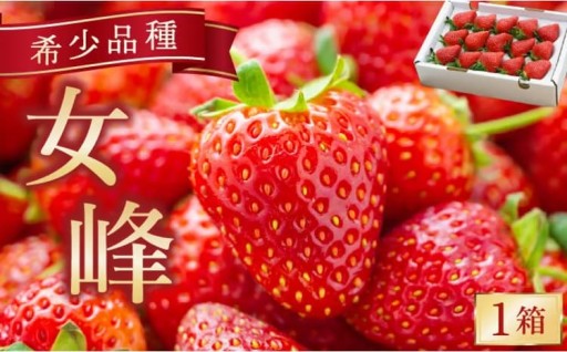 希少品種『女峰』いちご！